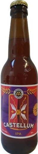 12 Stuyvers Castellum IPA flesje van 33cl