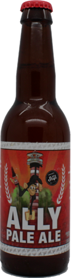 Stijl Ally Pale Ale flesje van 33 cl