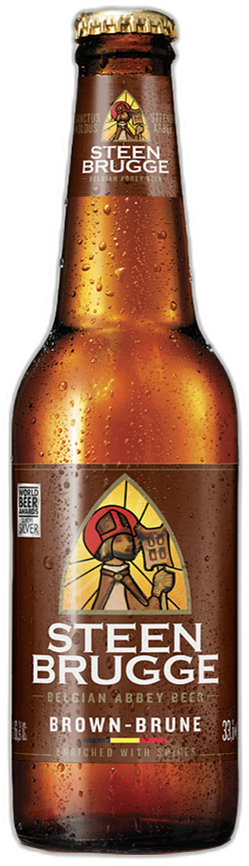 Steenbrugge Dubbel fles 33cl