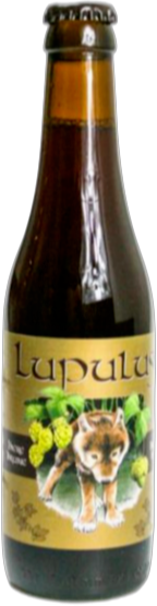 Lupulus Brune flesje van 33cl Lupulus Brune flesje van 33cl