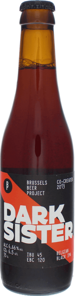 Brussels Beer Project Dark Sister fles 33cl
