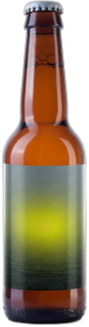Grutte Pier 541 IPA fles 33 CL