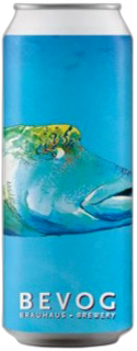 Bevog Humphead Wrasse blik 50 CL
