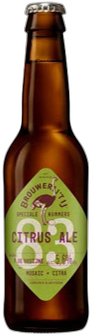 IJ Citrus Ale flesje van 33cl