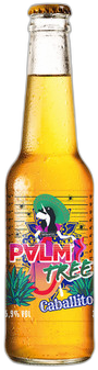 PALM Palmtree Caballito flesje van 33cl