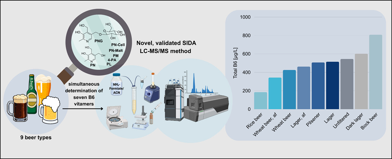 Infografiek over bier en vitamine B6-analyse met glazen bier en meetapparatuur.